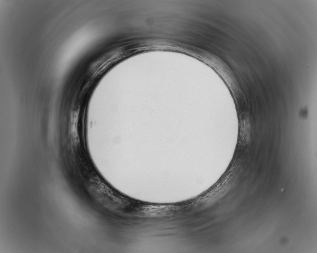 X0000097981150200804211031