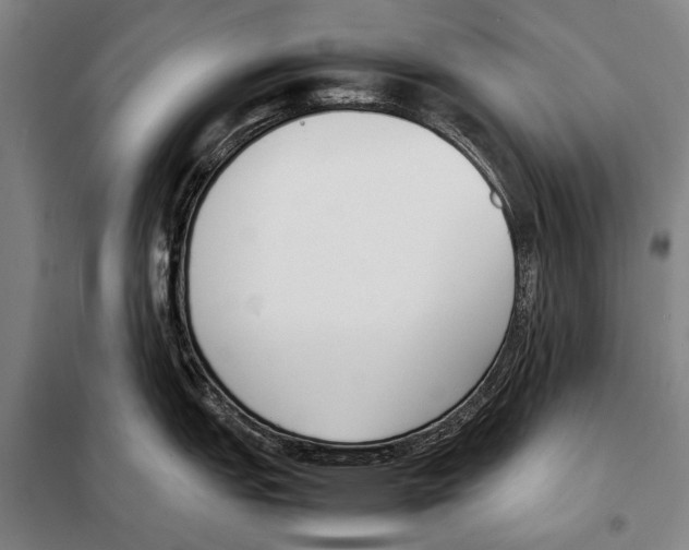 X0000097981151200804211031