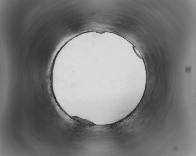 X0000097981152200804211031