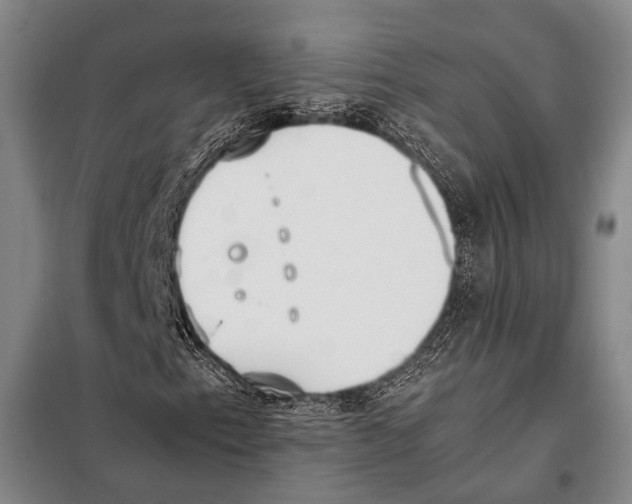 X0000097981153200804211031