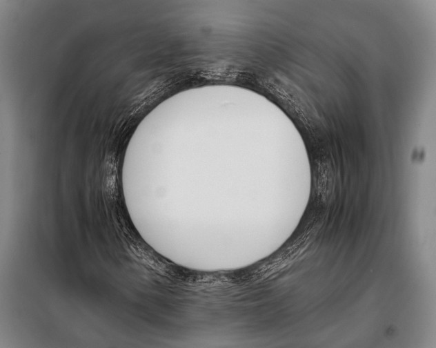 X0000097981154200804211031