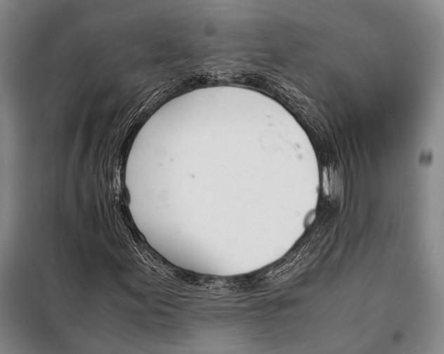 X0000097981155200804211031