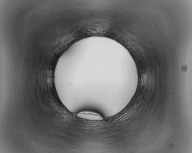 X0000097981156200804211031