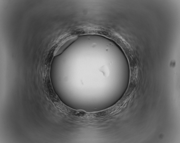 X0000097981157200804211031