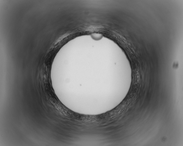 X0000097981158200804211031