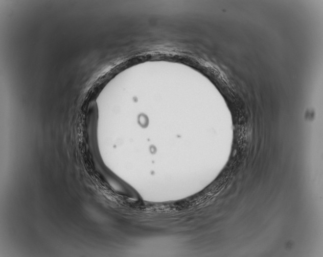 X0000097981159200804211030