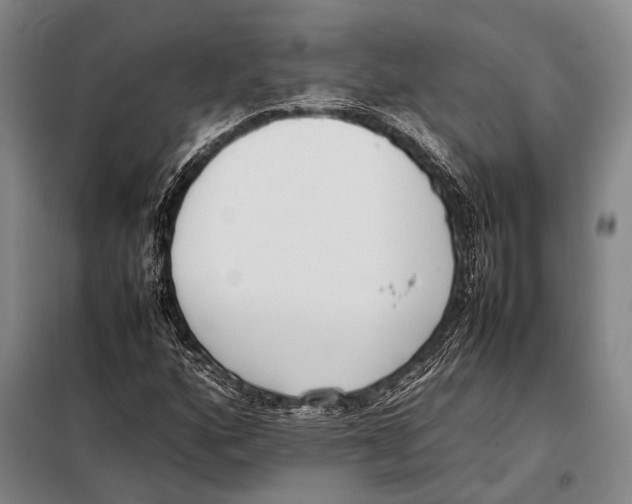 X0000097981160200804211030