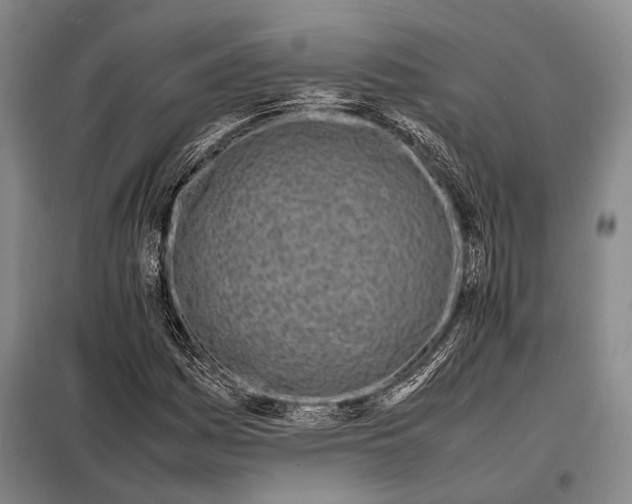 X0000097981161200804211030