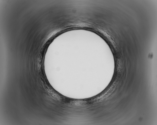 X0000097981163200804211030