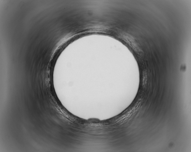 X0000097981164200804211030