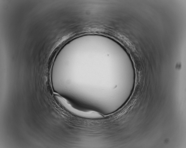 X0000097981165200804211030