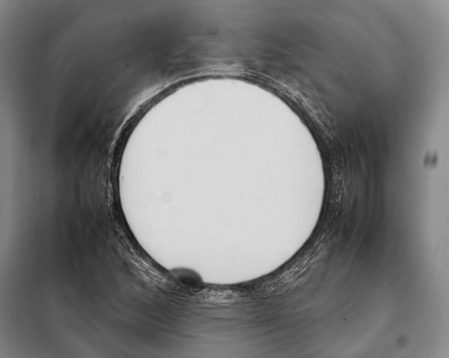 X0000097981168200804211030