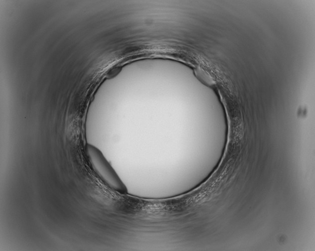 X0000097981169200804211030