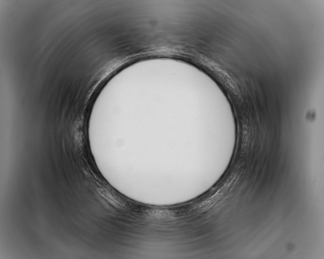 X0000097981170200804211030