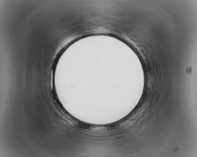 X0000097981171200804211030