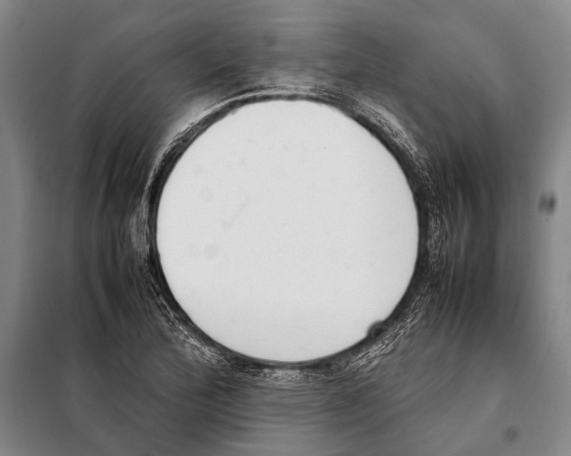 X0000097981172200804211030