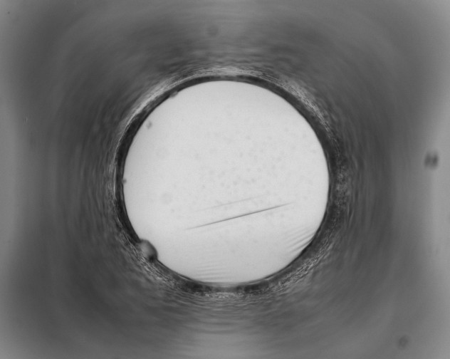 X0000097981173200804211030