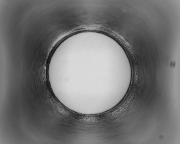 X0000097981174200804211030