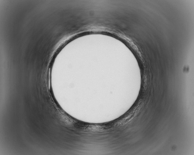 X0000097981175200804211030