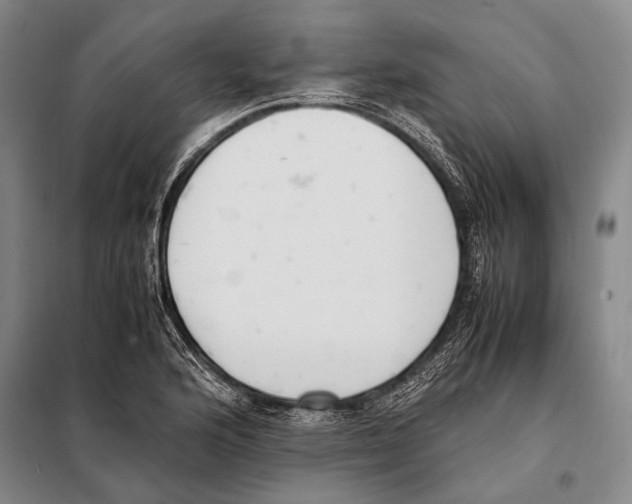 X0000097981176200804211030