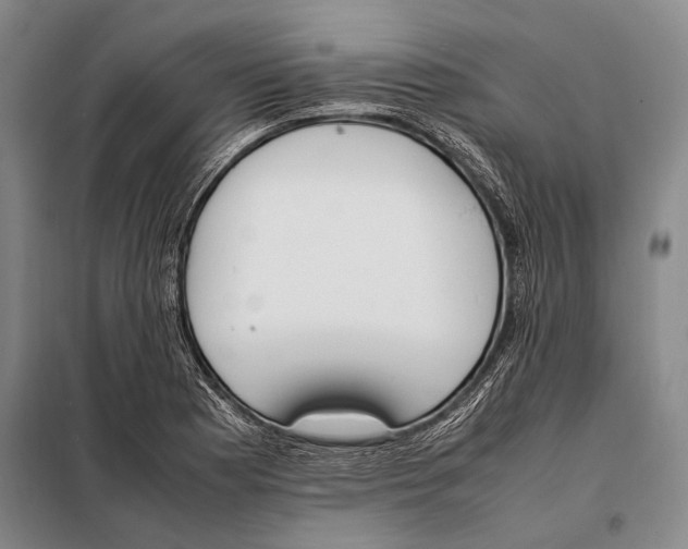 X0000097981177200804211030