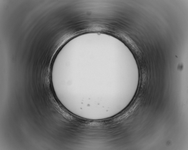 X0000097981178200804211030