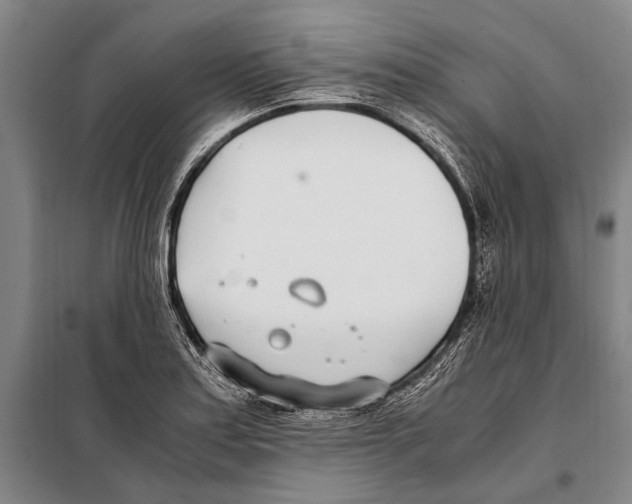 X0000097981179200804211030