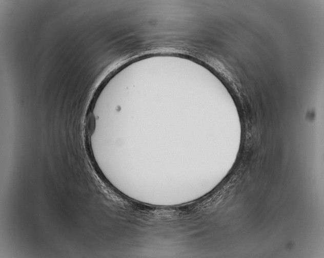 X0000097981181200804211030