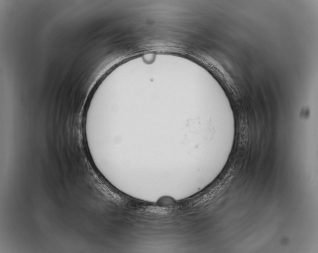 X0000097981182200804211030