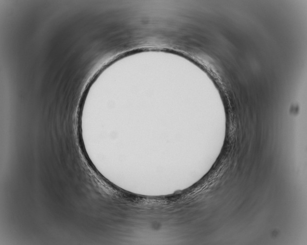 X0000097981183200804211030