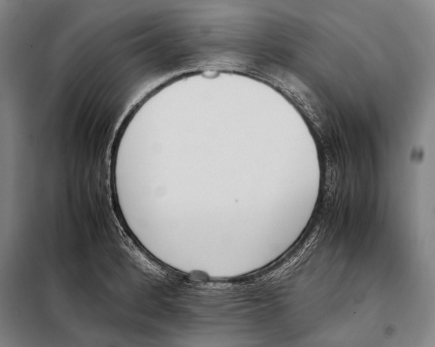 X0000097981184200804211030