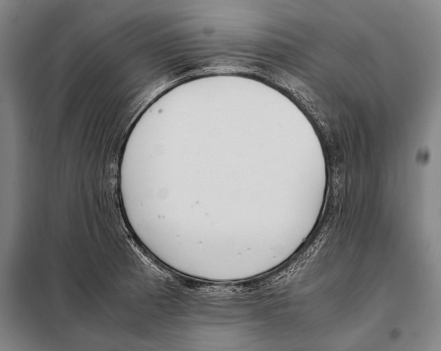 X0000097981185200804211030