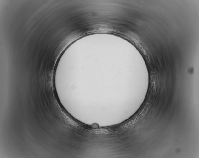 X0000097981186200804211030