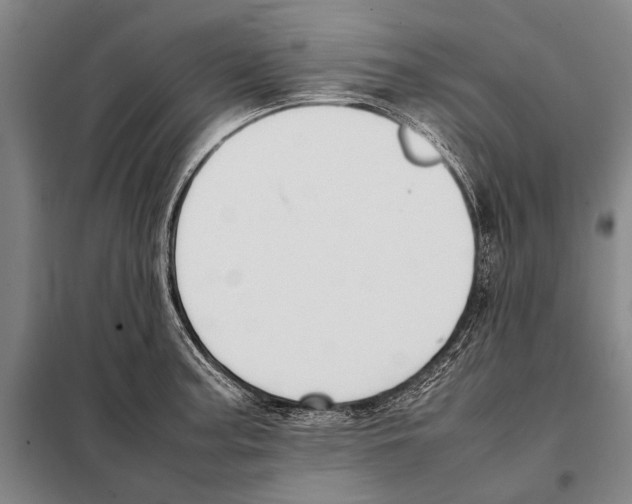 X0000097981187200804211030