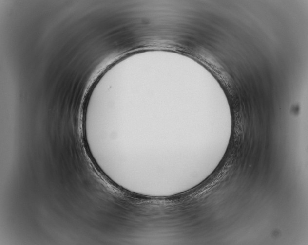 X0000097981188200804211030