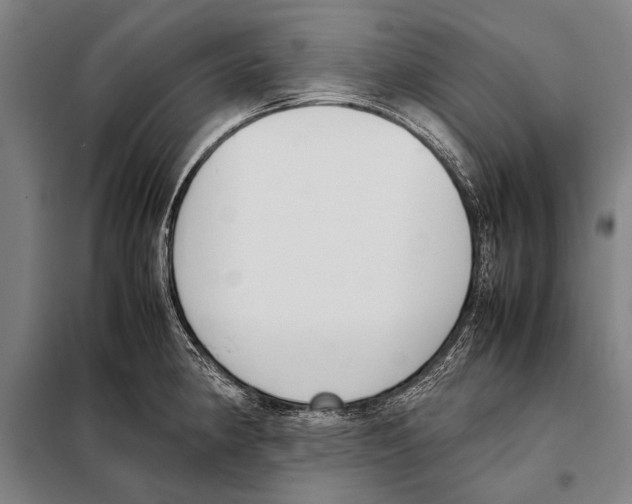 X0000097981190200804211030