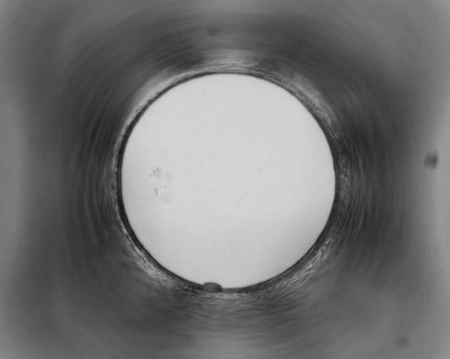 X0000097981192200804211030