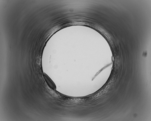 X0000097981193200804211030