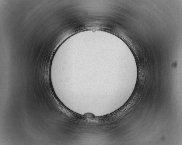 X0000097981194200804211030