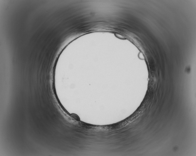 X0000097981195200804211030