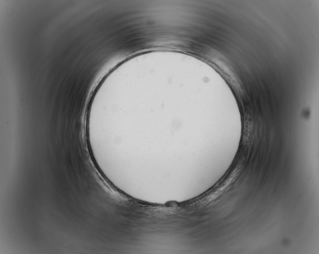 X0000097981196200804211030