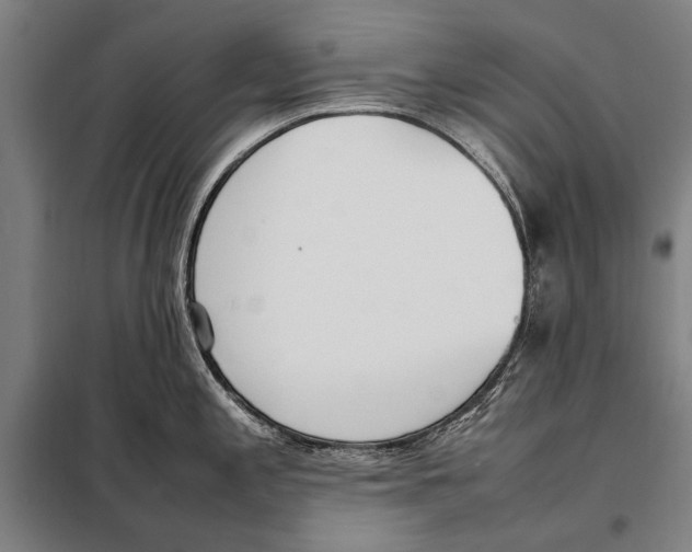 X0000097981197200804211030