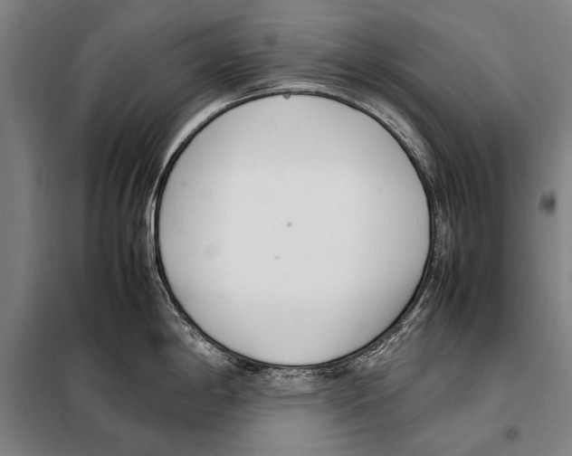 X0000097981198200804211030