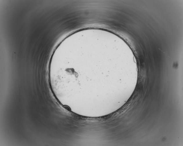 X0000097981199200804211030