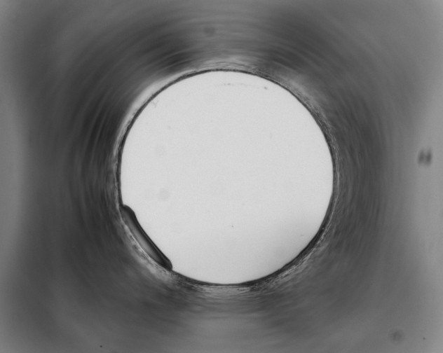 X0000097981200200804211030