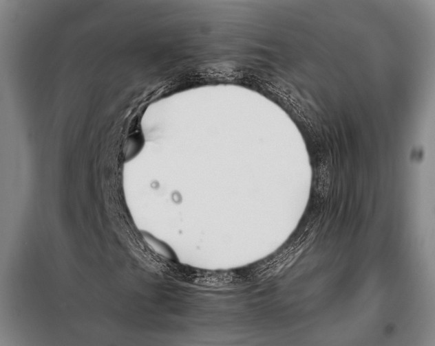 X0000097981201200804211029