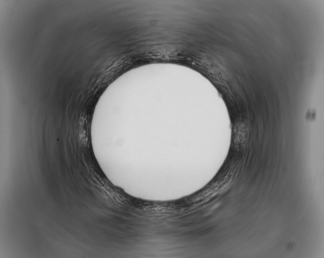 X0000097981202200804211029