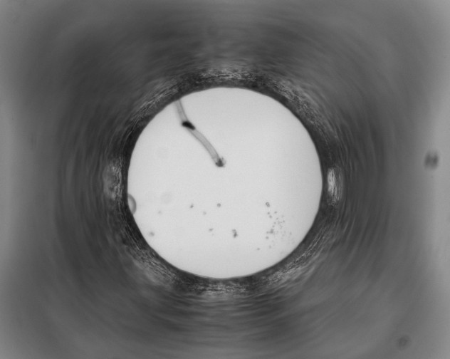 X0000097981203200804211029