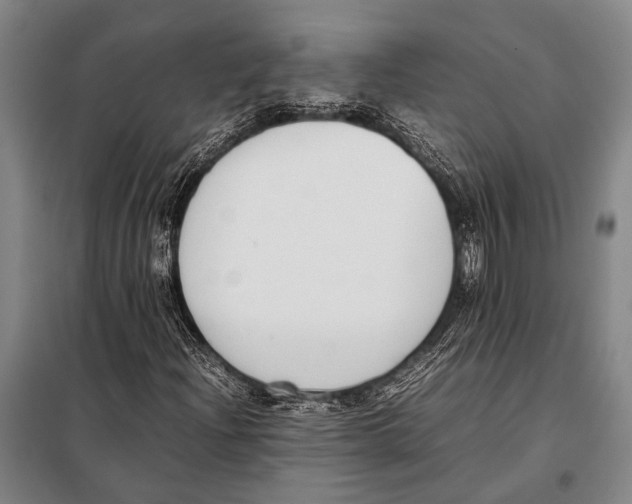 X0000097981204200804211029