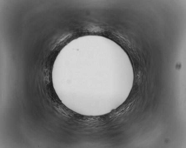 X0000097981205200804211029